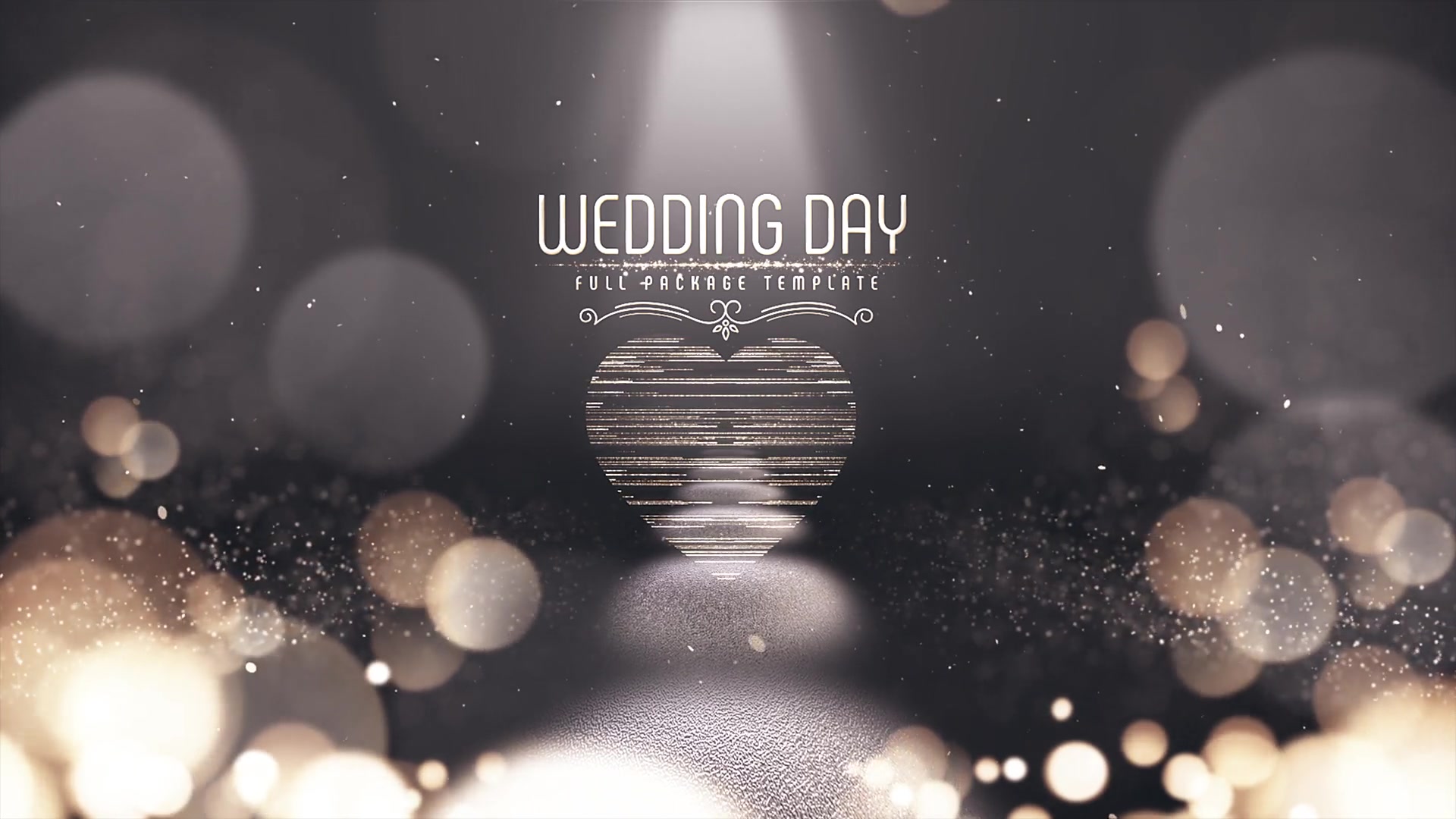 Wedding Day Videohive 22214341 After Effects Image 13