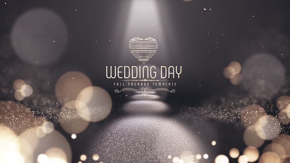 Wedding Day - Videohive Download 22214341