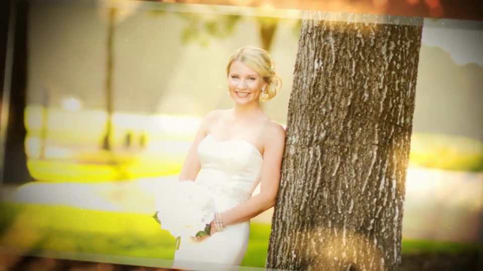 Wedding Videohive 16410509 After Effects Image 10