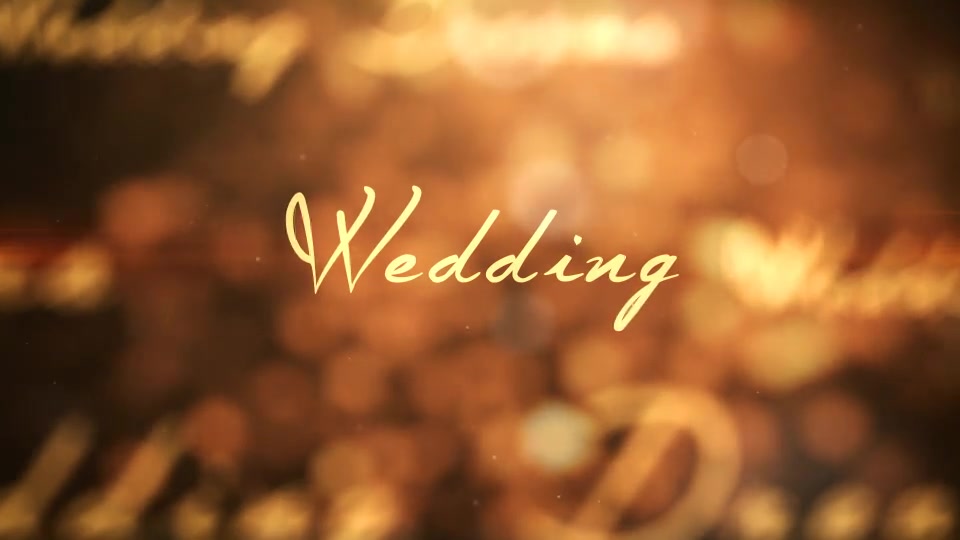 Wedding Videohive 16410509 After Effects Image 12
