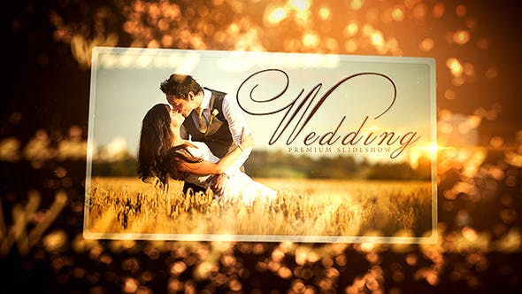 Wedding - Download 16410509 Videohive