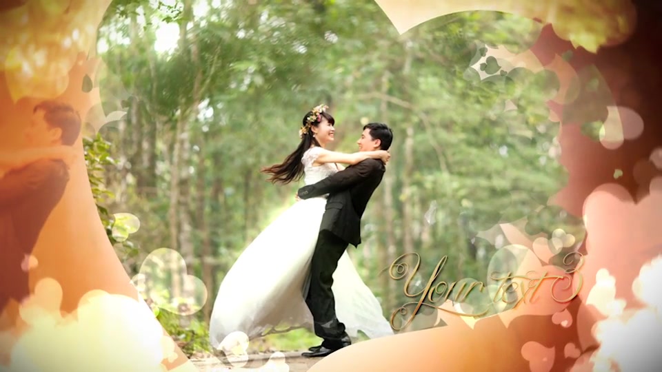 Wedding - Download Videohive 12447379