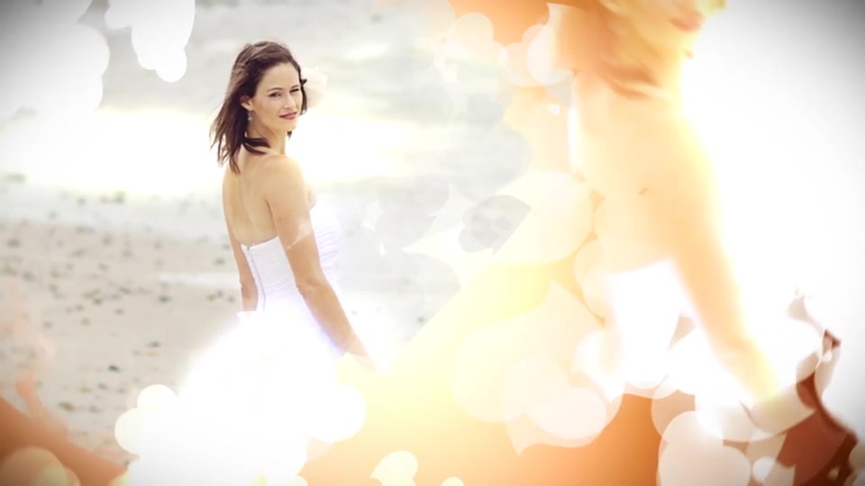 Wedding - Download Videohive 12447379