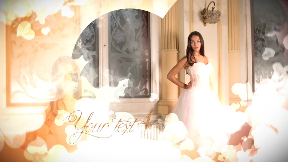 Wedding - Download Videohive 12447379