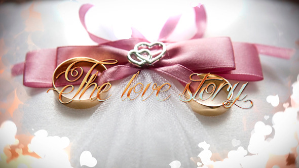 Wedding - Download Videohive 12447379