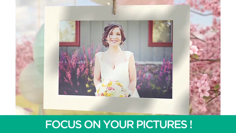 Wedding - Download Videohive 12638846