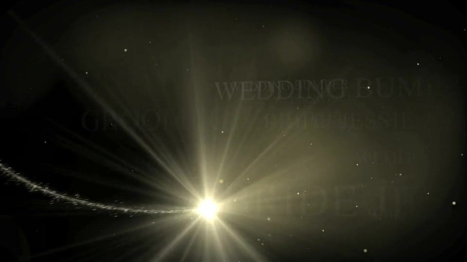 Wedding - Download Videohive 16101773