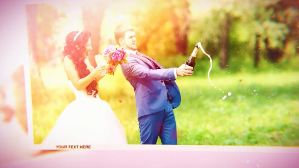 Wedding - Download Videohive 19317903