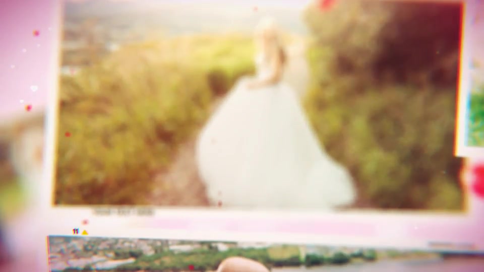 Wedding - Download Videohive 19317903