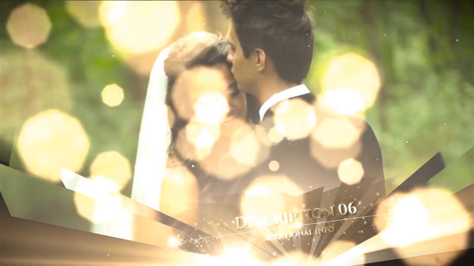 Wedding - Download Videohive 20362495