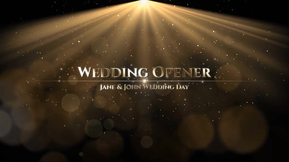 Wedding - Download Videohive 20362495