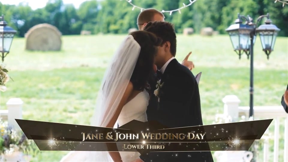 Wedding - Download Videohive 20362495