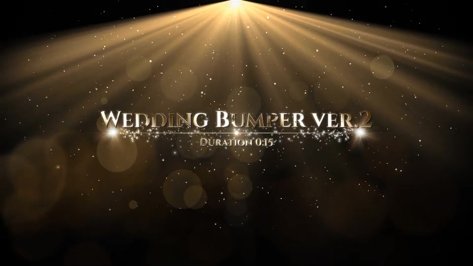 Wedding - Download Videohive 20362495