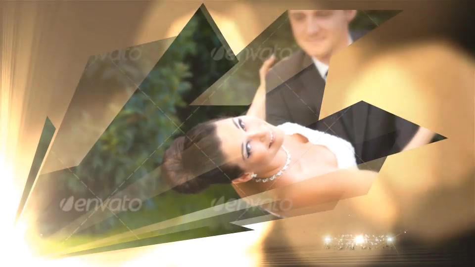 Wedding - Download Videohive 20362495