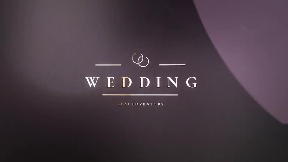 Wedding Videohive 21411390 After Effects Image 1