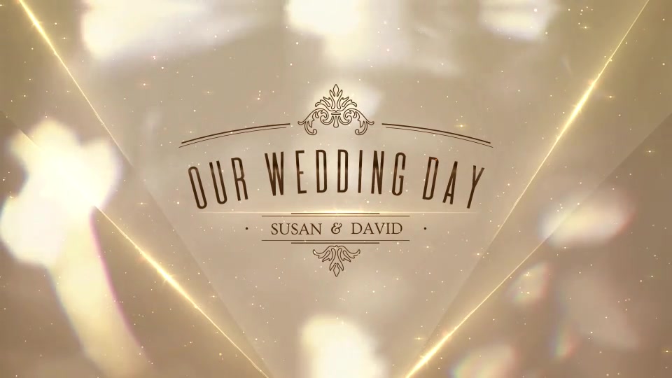 Wedding - Download Videohive 21715386