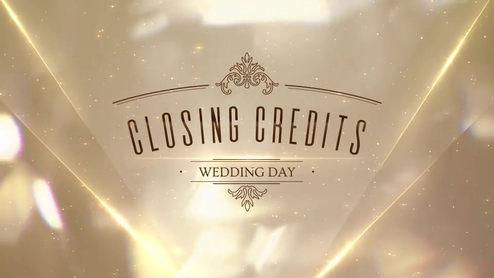 Wedding - Download Videohive 21715386