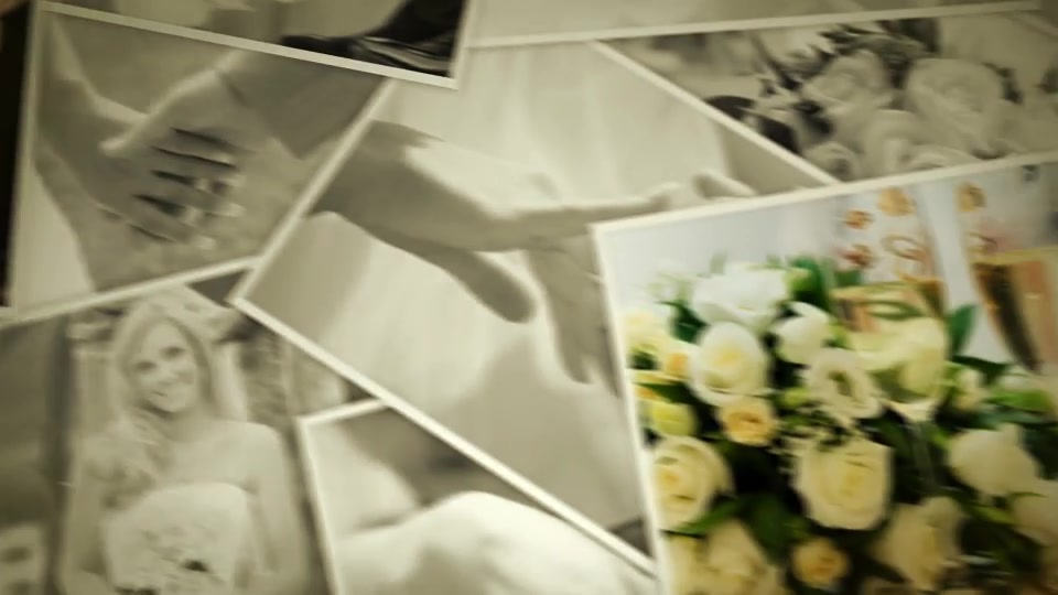 Wedding - Download Videohive 6993270