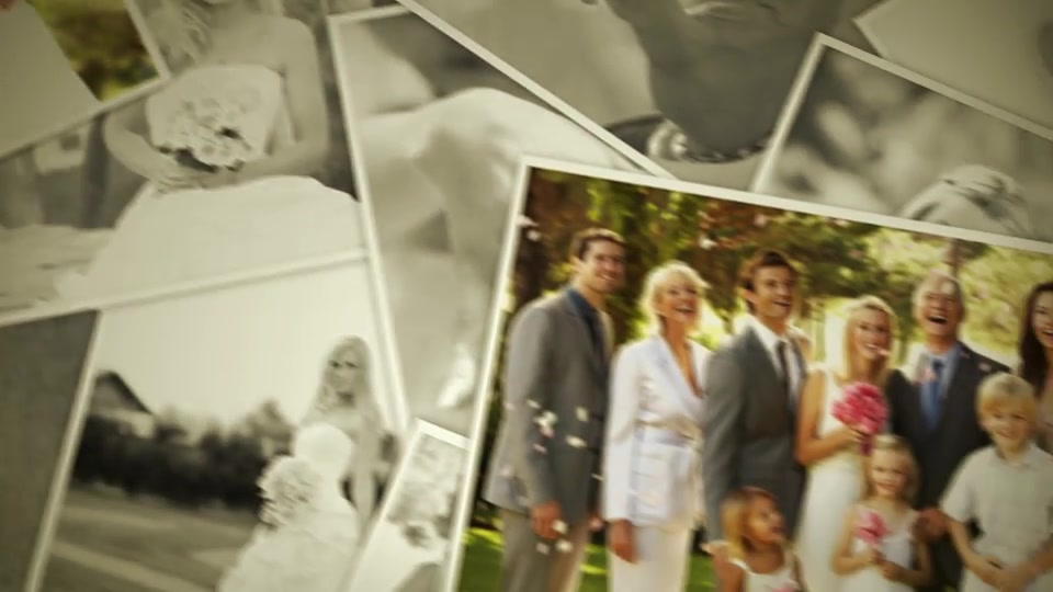 Wedding - Download Videohive 6993270