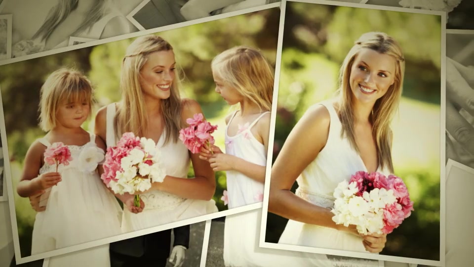 Wedding - Download Videohive 6993270