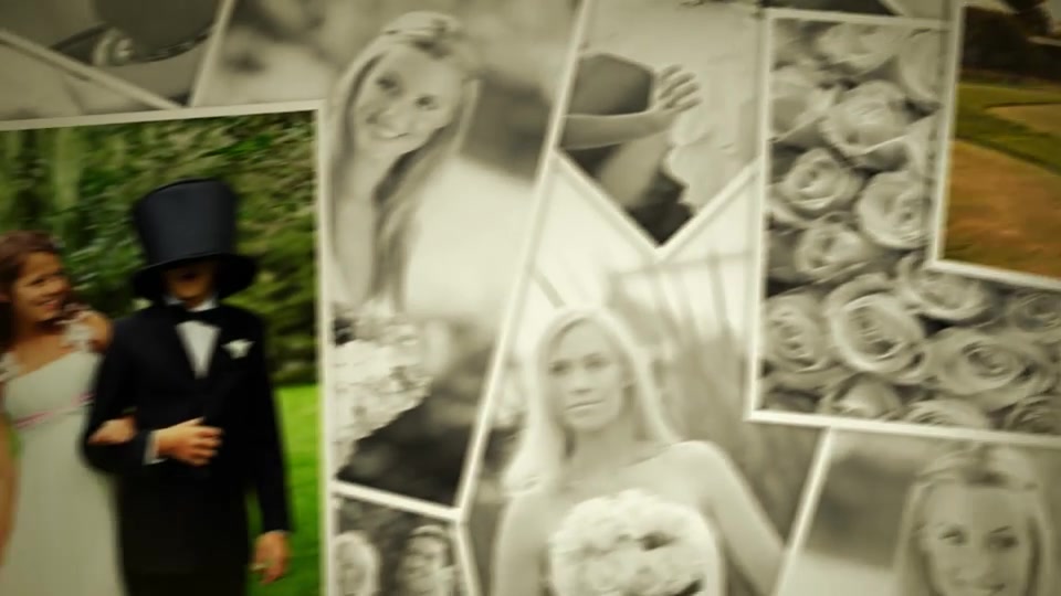 Wedding - Download Videohive 6993270