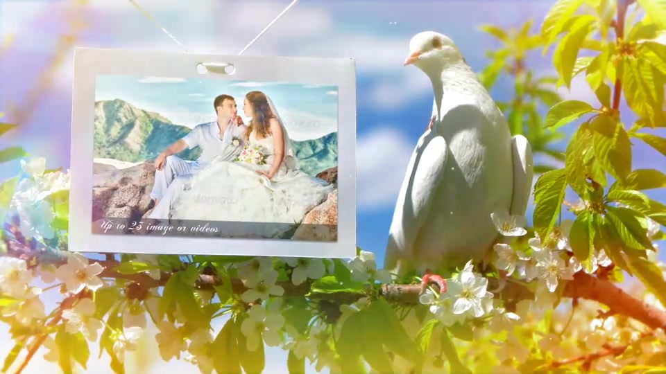 Wedding - Download Videohive 8012602