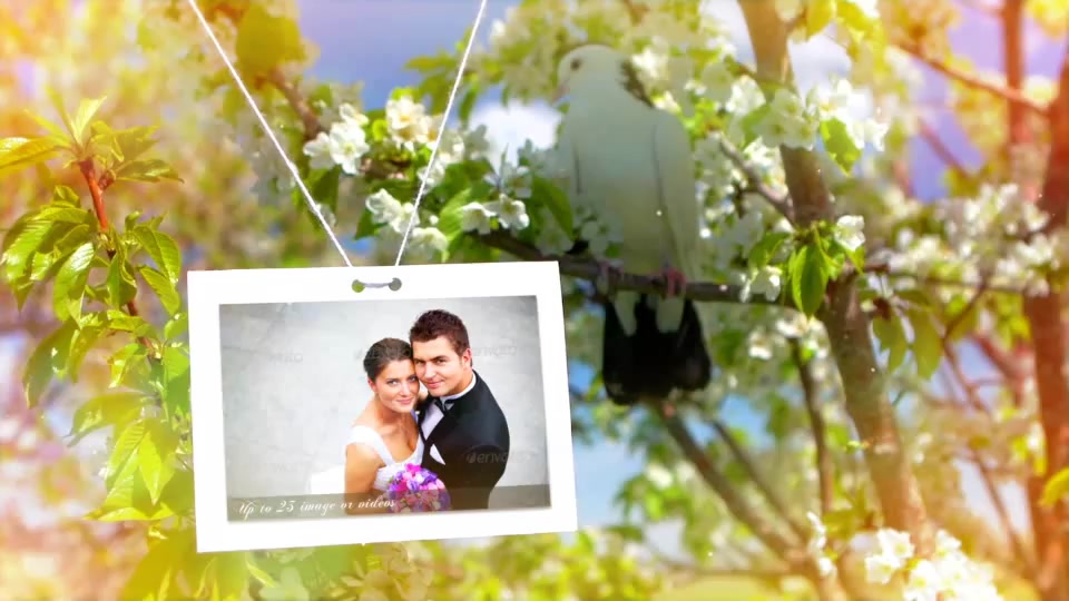 Wedding - Download Videohive 8012602