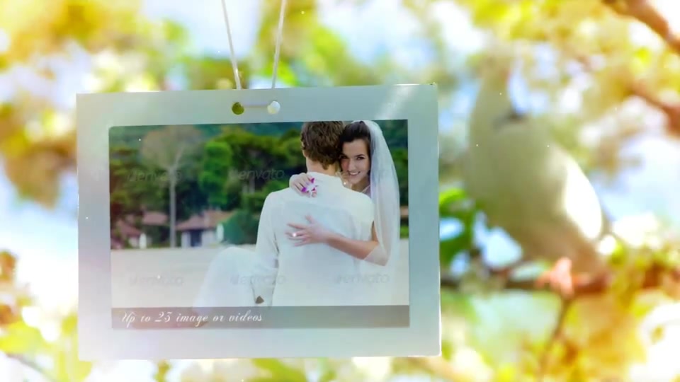 Wedding - Download Videohive 8012602