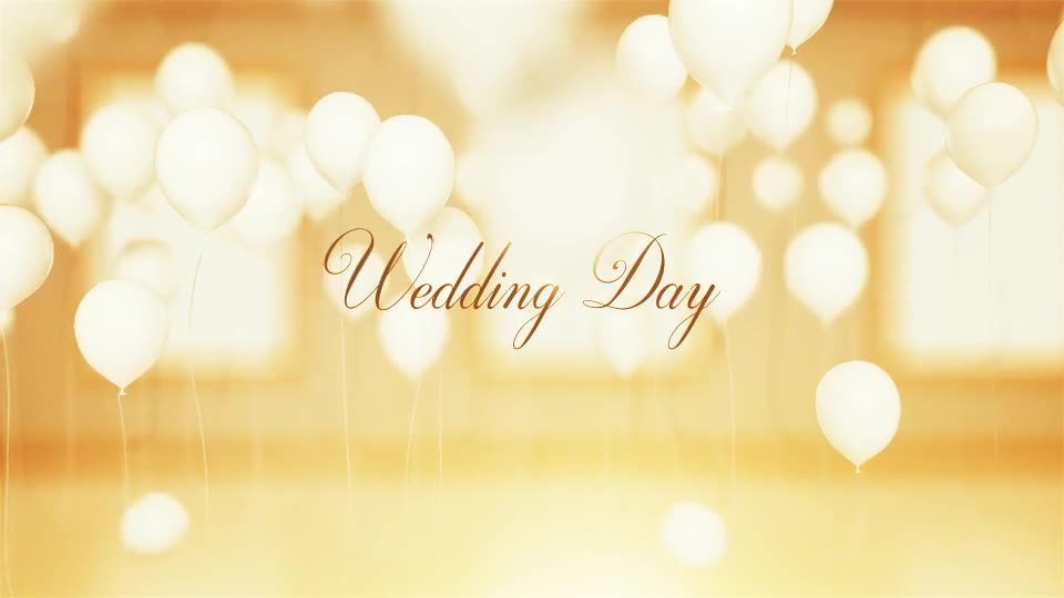 Wedding Dreams - Download Videohive 12932319