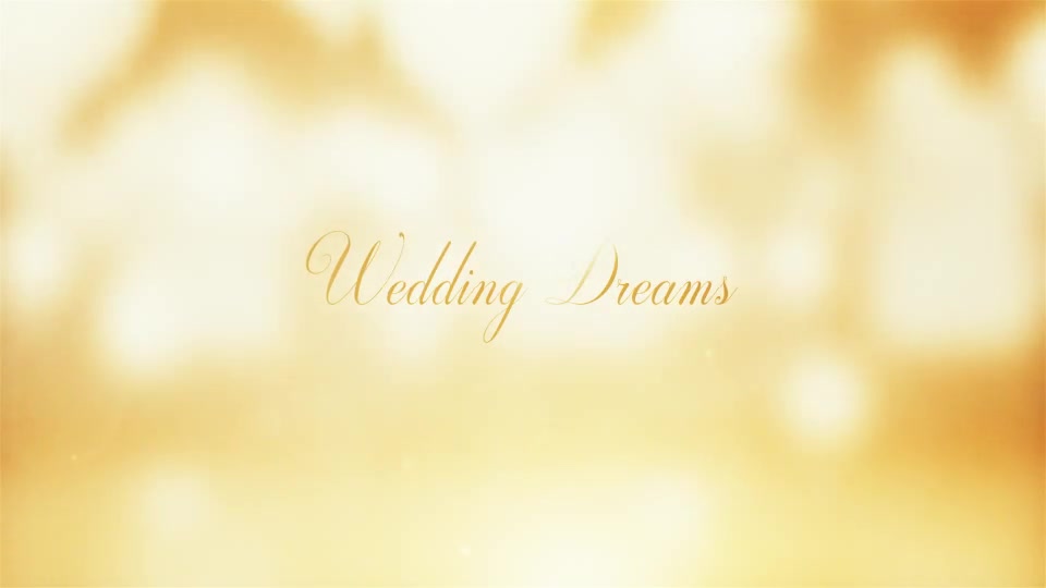 Wedding Dreams - Download Videohive 12932319
