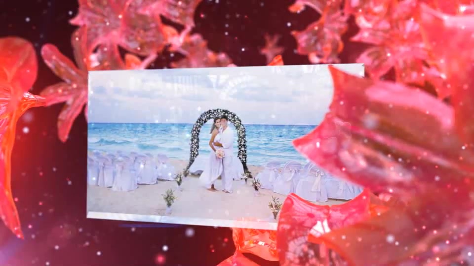 Wedding Fairy - Download Videohive 5251521
