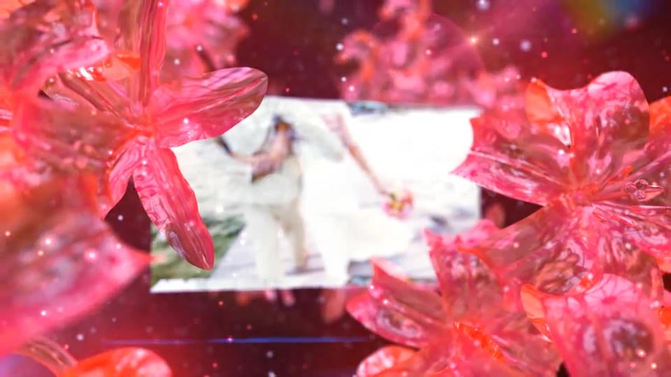 Wedding Fairy - Download Videohive 5251521