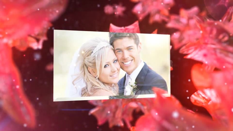 Wedding Fairy - Download Videohive 5251521