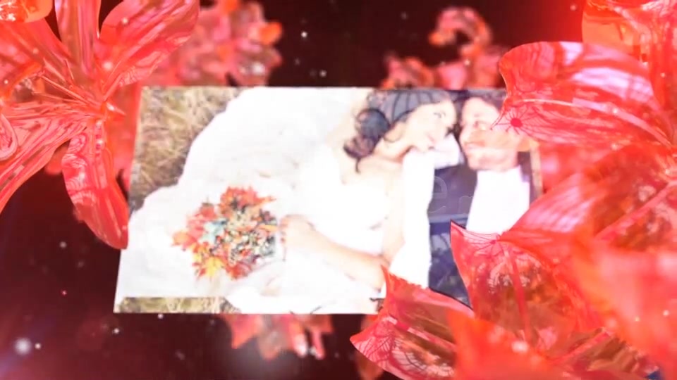 Wedding Fairy - Download Videohive 5251521