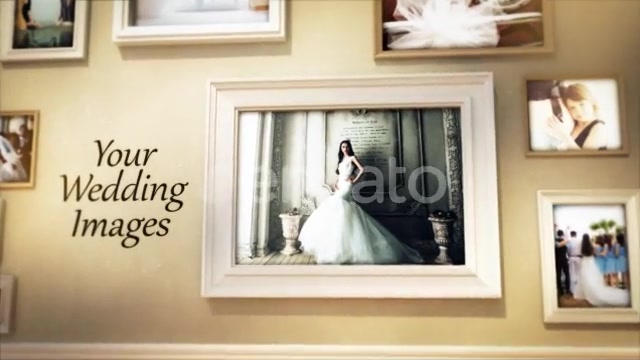 Wedding Family Wall Gallery Videohive 21621214 After Effects Image 7