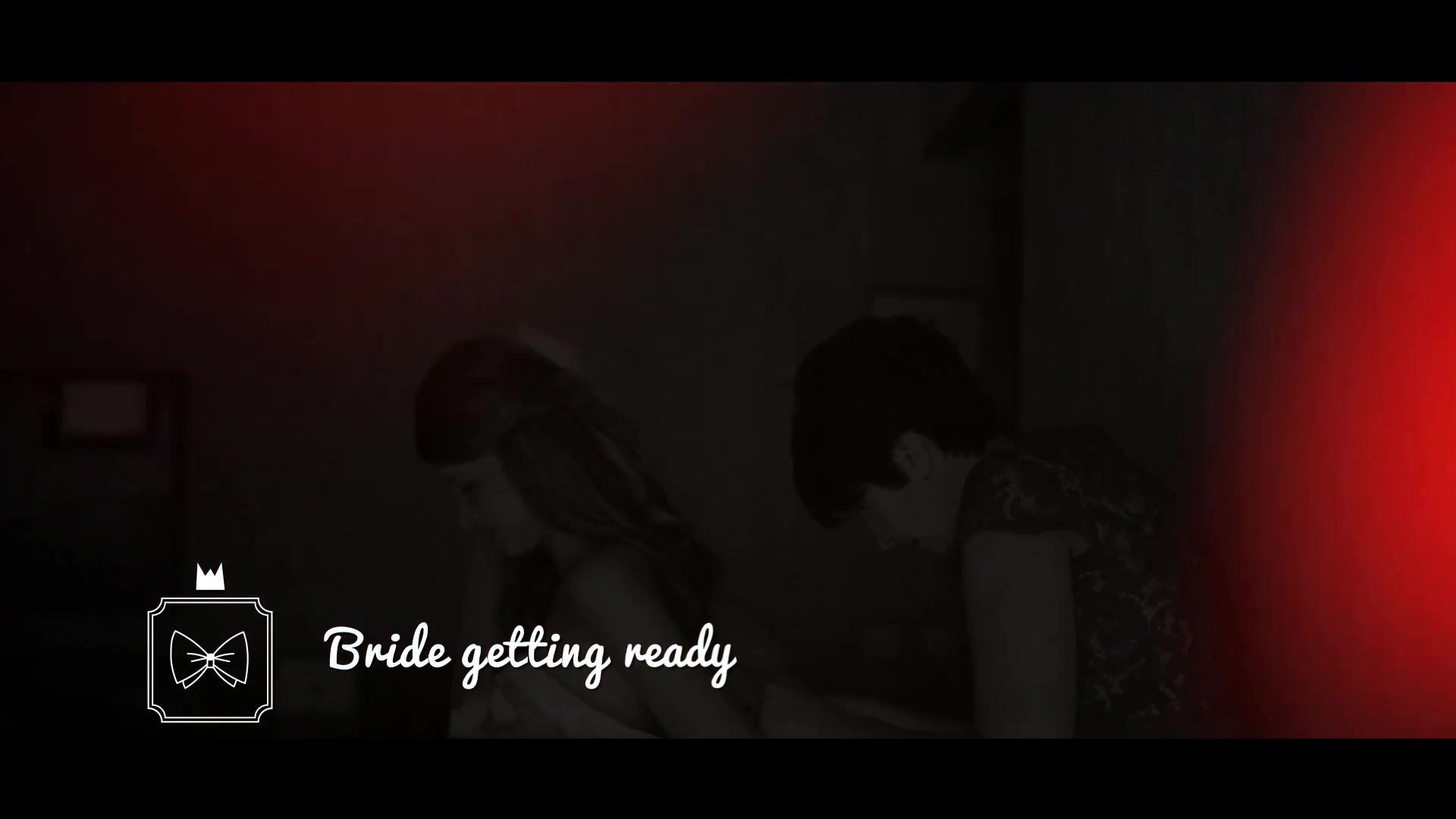 Wedding Film Package - Download Videohive 10953988