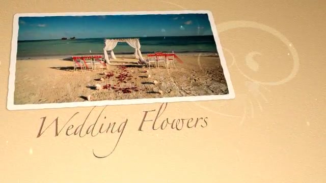 Wedding Flowers CS4 - Download Videohive 309125