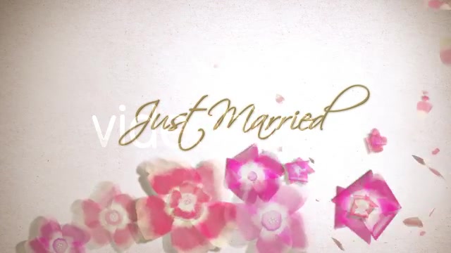 Wedding Flowers Videohive 1747262 After Effects Image 13