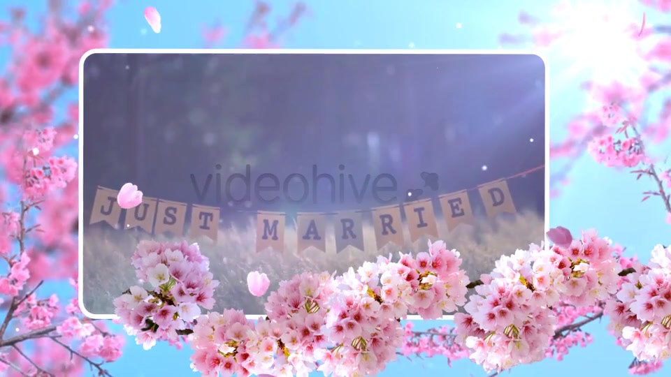 Wedding Flowers Slideshow Videohive 24038015 After Effects Image 12