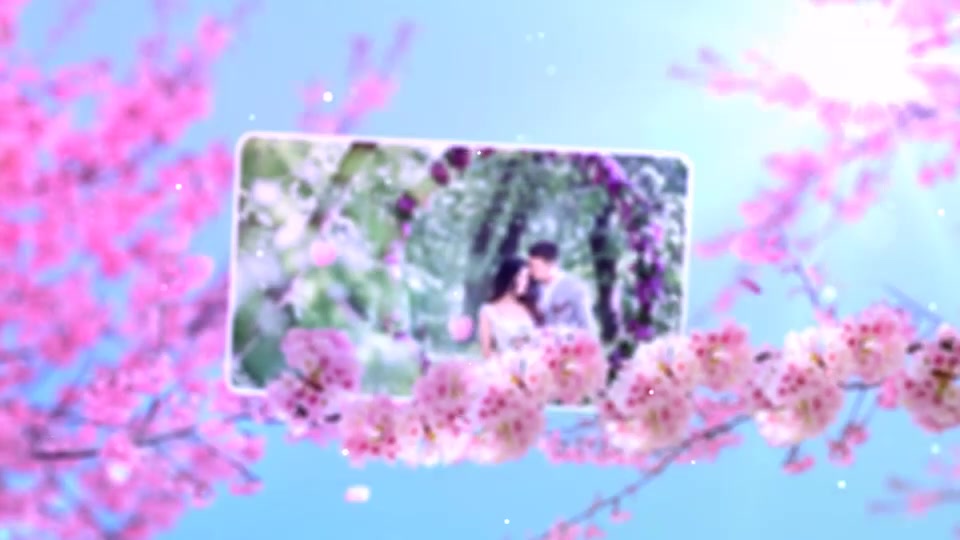 Wedding Flowers Slideshow Videohive 24038015 After Effects Image 4
