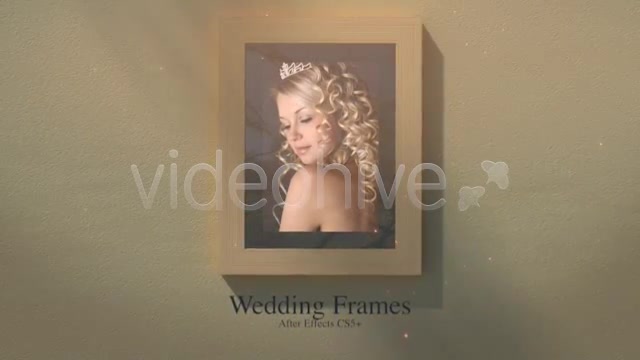 Wedding Frames - Download Videohive 4568523