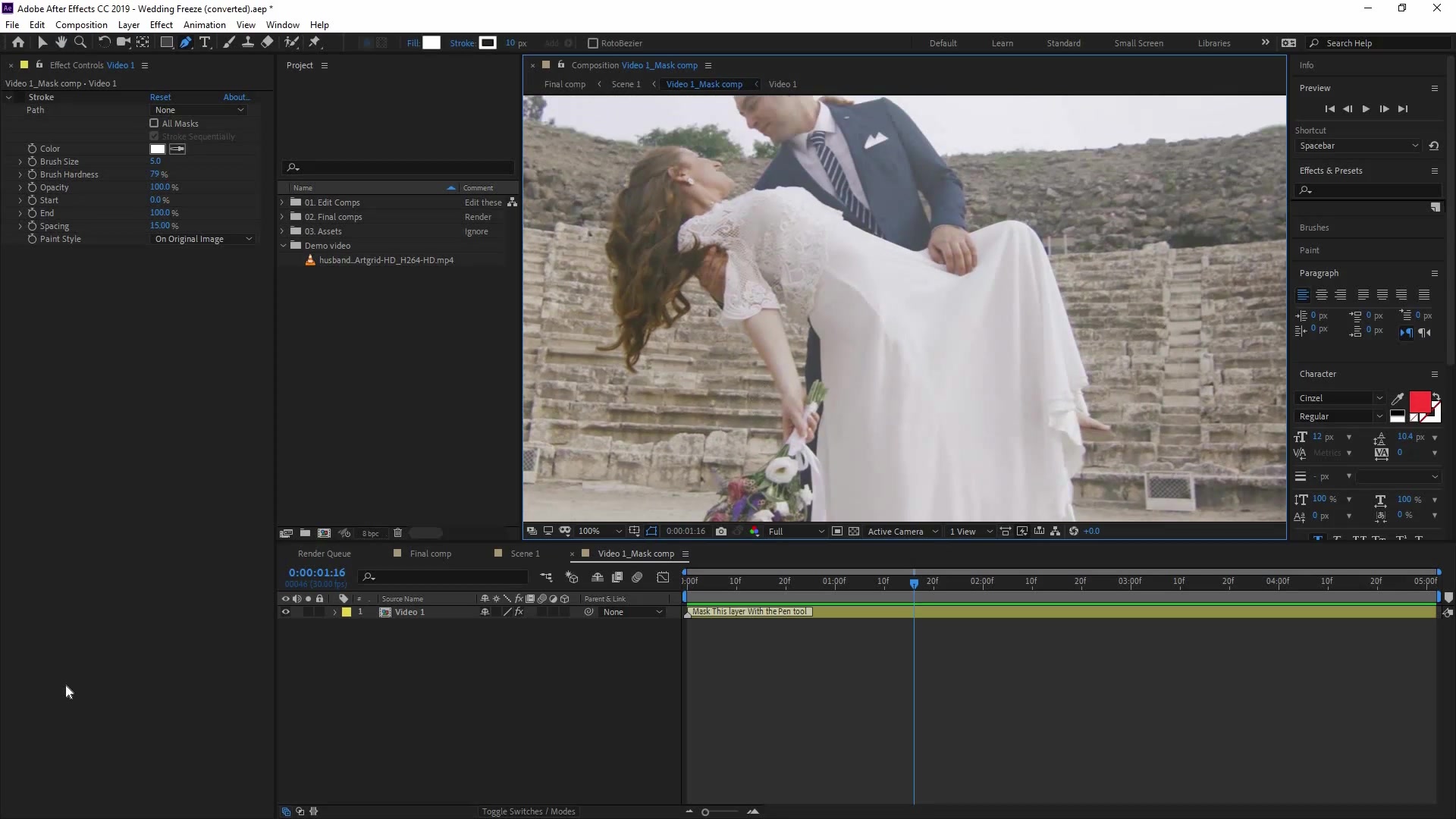 Wedding Freeze Videohive 27211302 After Effects Image 11