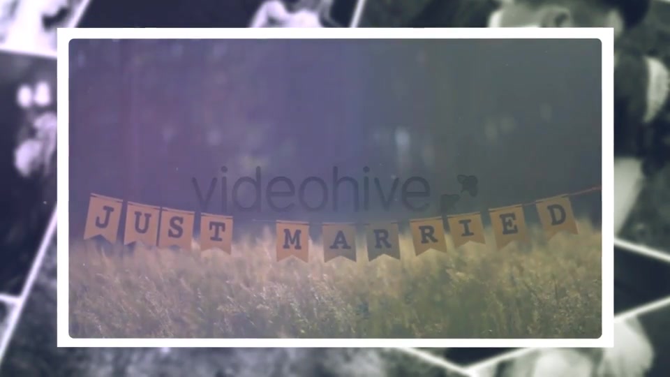 Wedding Gallery Videohive 21204113 After Effects Image 12