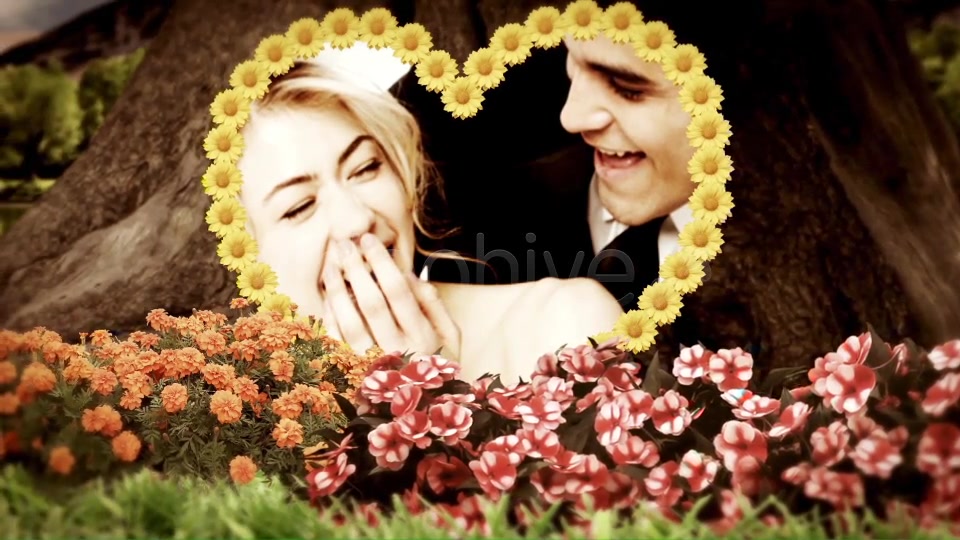 Wedding Garden - Download Videohive 5580422