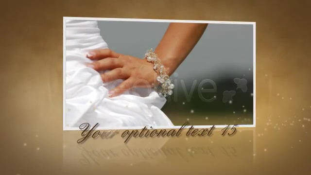 Wedding gold words Videohive 1874252 After Effects Image 10