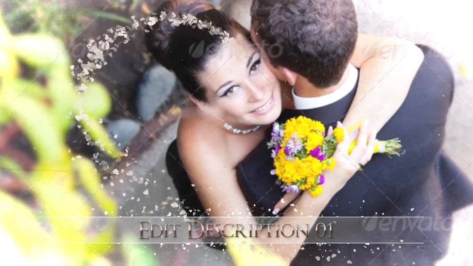 Wedding Hearts Videohive 8843417 After Effects Image 10