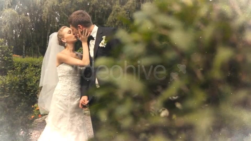 Wedding Hearts Videohive 8843417 After Effects Image 3