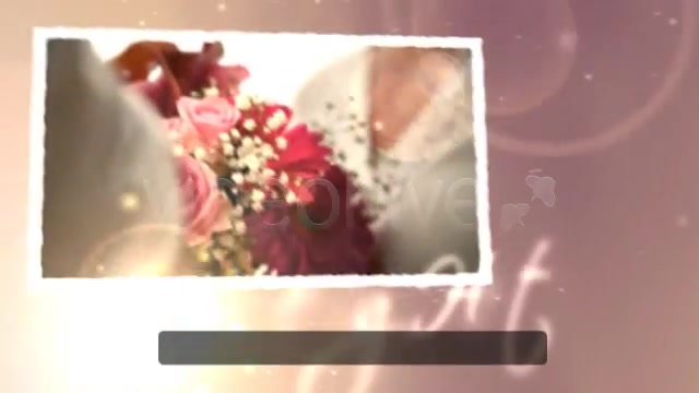 Wedding Hearts CS4 - Download Videohive 153475