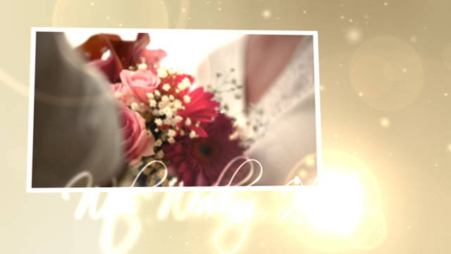 Wedding Hearts CS4 - Download Videohive 153475