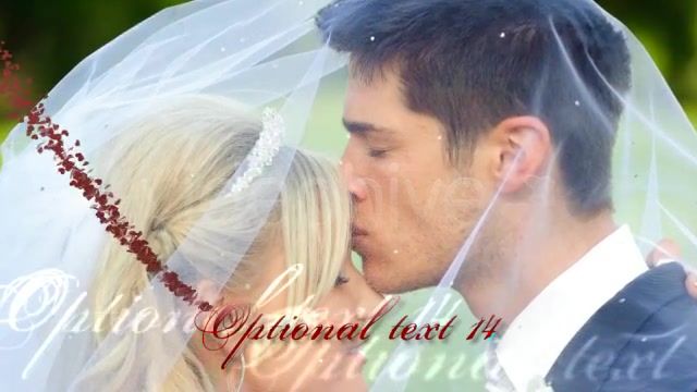 Wedding Hearts Slideshow Videohive 2360354 After Effects Image 10